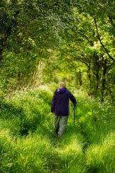 Kuvassa iäkäs naisoletettu kävelee kesäisellä metsätiellä kävelykeppiin nojaten.