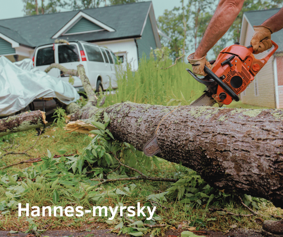 Hannes-myrskyn kaatamat puut Kaustisen kunnan mailla